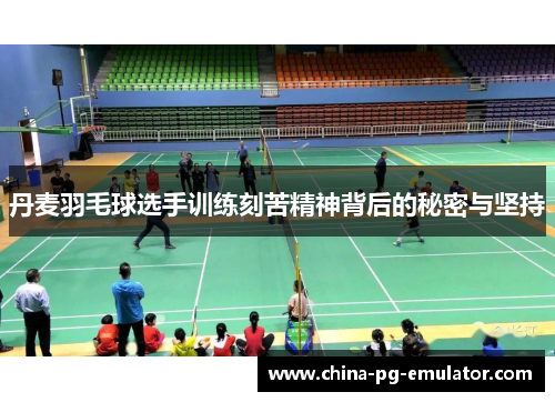 丹麦羽毛球选手训练刻苦精神背后的秘密与坚持 丹麦羽毛球选手训练刻苦精神背后的秘密与坚持