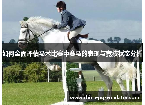 如何全面评估马术比赛中赛马的表现与竞技状态分析 如何全面评估马术比赛中赛马的表现与竞技状态分析