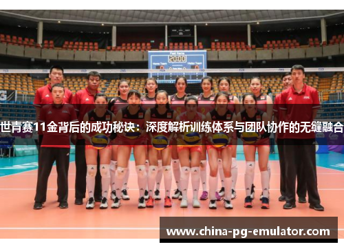 世青赛11金背后的成功秘诀：深度解析训练体系与团队协作的无缝融合