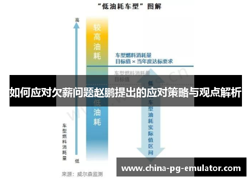 如何应对欠薪问题赵鹏提出的应对策略与观点解析 如何应对欠薪问题赵鹏提出的应对策略与观点解析