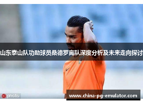 山东泰山队功勋球员桑德罗离队深度分析及未来走向探讨
