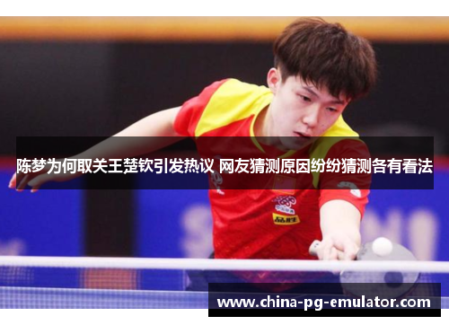 陈梦为何取关王楚钦引发热议 网友猜测原因纷纷猜测各有看法 陈梦为何取关王楚钦引发热议 网友猜测原因纷纷猜测各有看法
